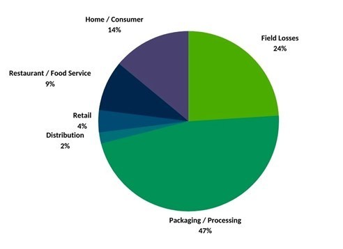 Efficient waste solutions for food waste in Canada, focusing on packaging, processing, and reducing.
