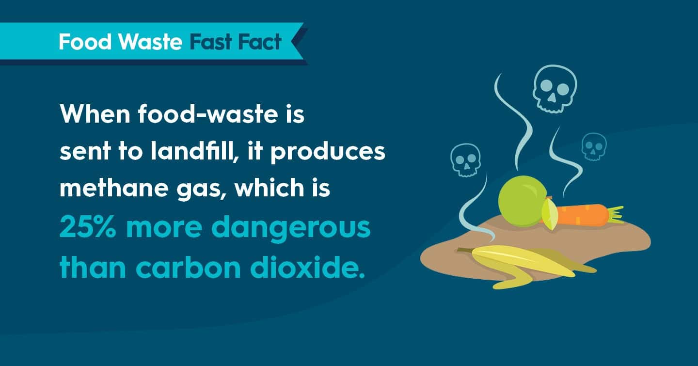 Food waste decomposing with methane gas emissions in landfill.