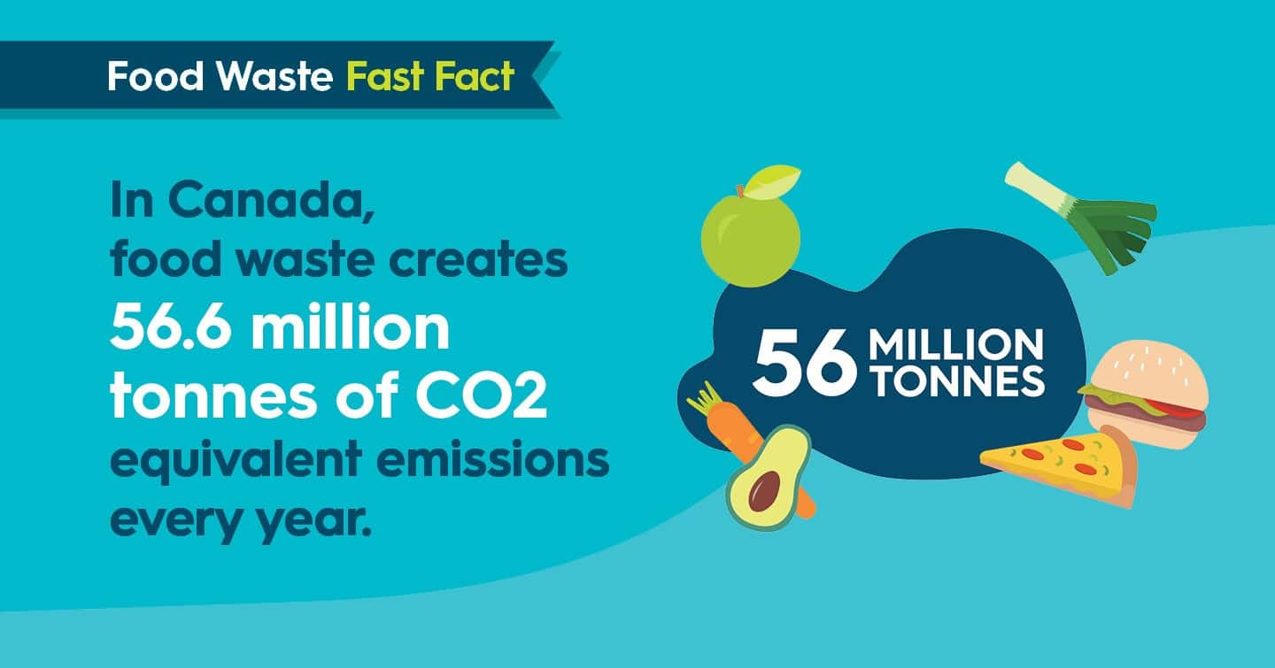 Food waste in Canada contributes to 56.6 million tonnes of CO2 emissions annually.