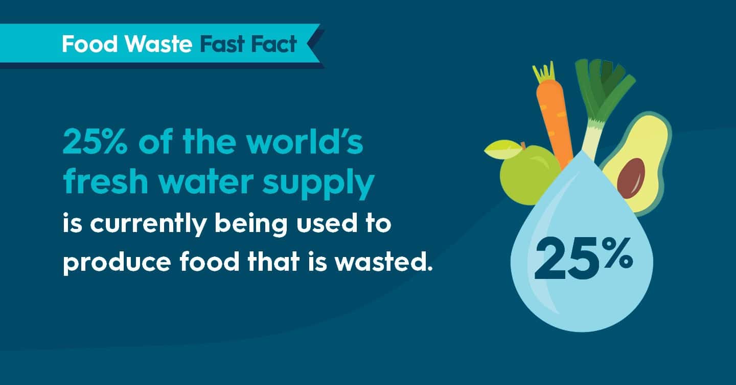 Illustration of fresh vegetables and water droplet highlighting food waste in Canada.