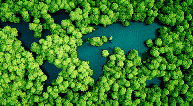 satellite view of trees and lakes