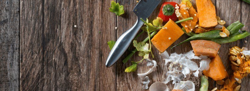 food waste in Canada: An in depth review