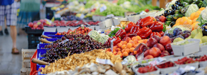 food waste in America: An in depth review