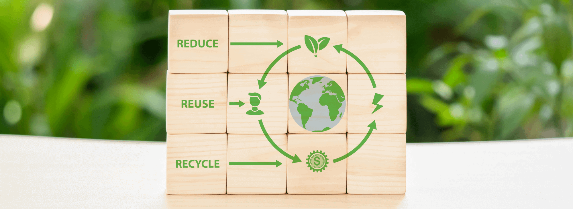a circular economy: the path forward