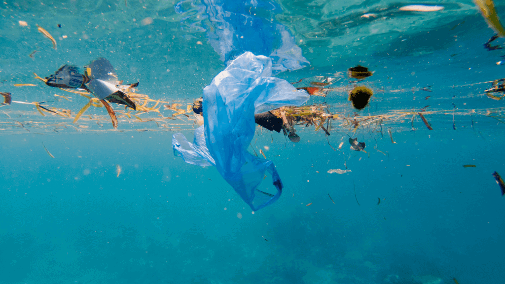 Plastic waste pollutes water, harming ecosystems and human health. Proper waste management is vital.