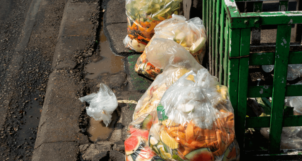 Food waste in plastic bags on the street for composting and eco-friendly waste management.