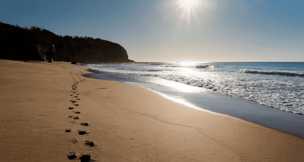 sustainable solutions for summer: how we can make eco-conscious choices this sunny season